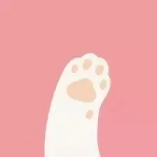 计算机科学与技术学院举行关心下一代工作委员会工作室授牌仪式