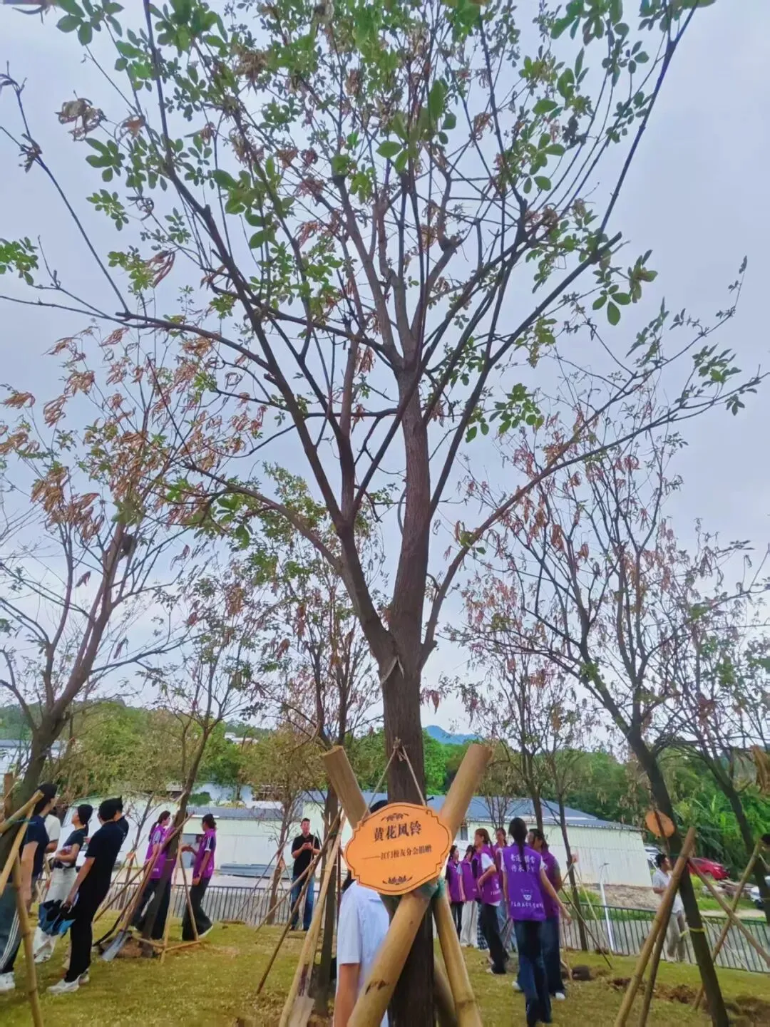 校园生活|培正学院第二十五期“市场林”活动顺利举行!