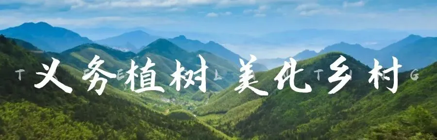 仁和区市场监督管理局工作动态