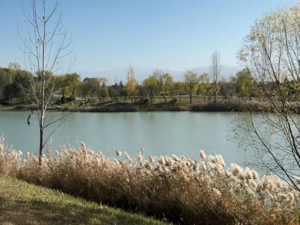 溢价21%摘地!土拍市场再次爆火