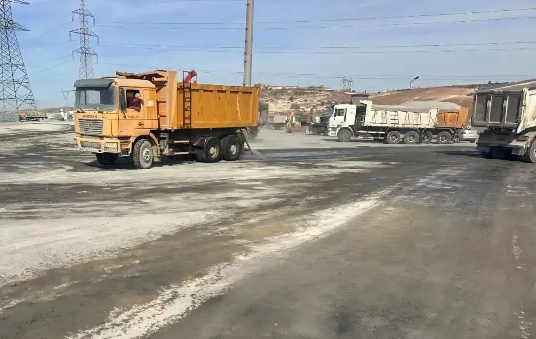 【向新提质】深耕海外市场 笃行精细管控