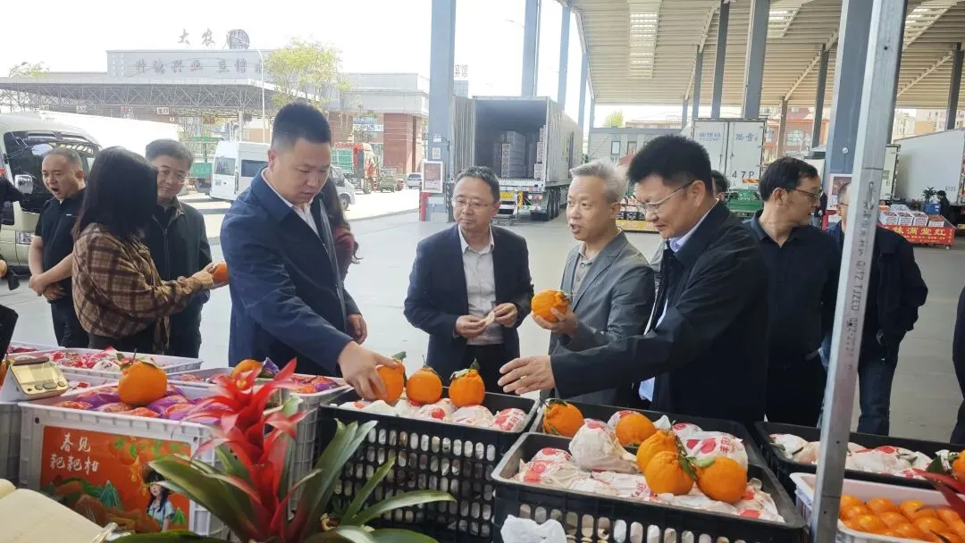 【市场新闻】大理州副州长鲁旭俊一行到新发地考察交流 深化农产品产销精准对接