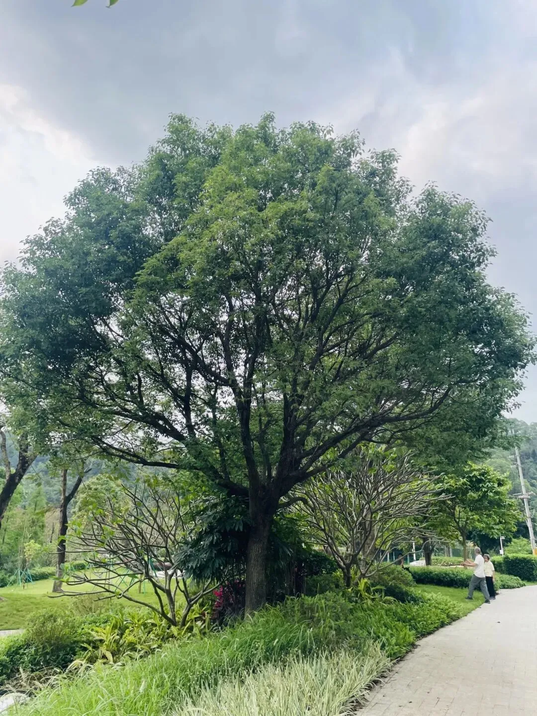 《市场街最后一站》 ǀ 尘土中的美好