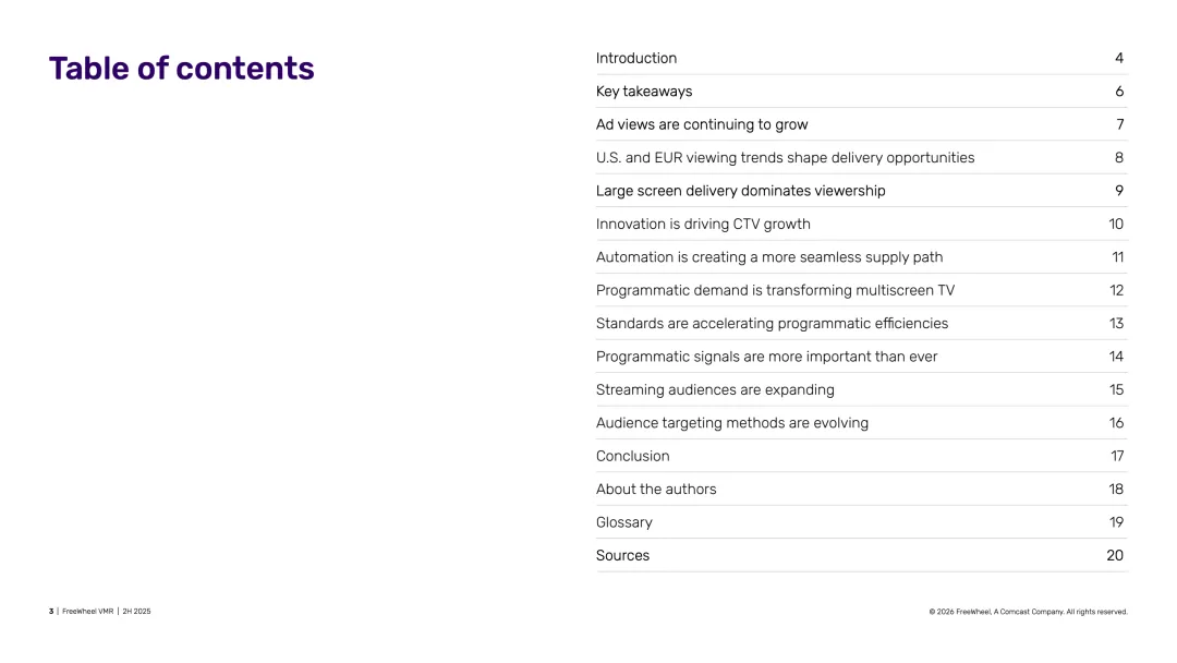 2025年下半年视频市场报告