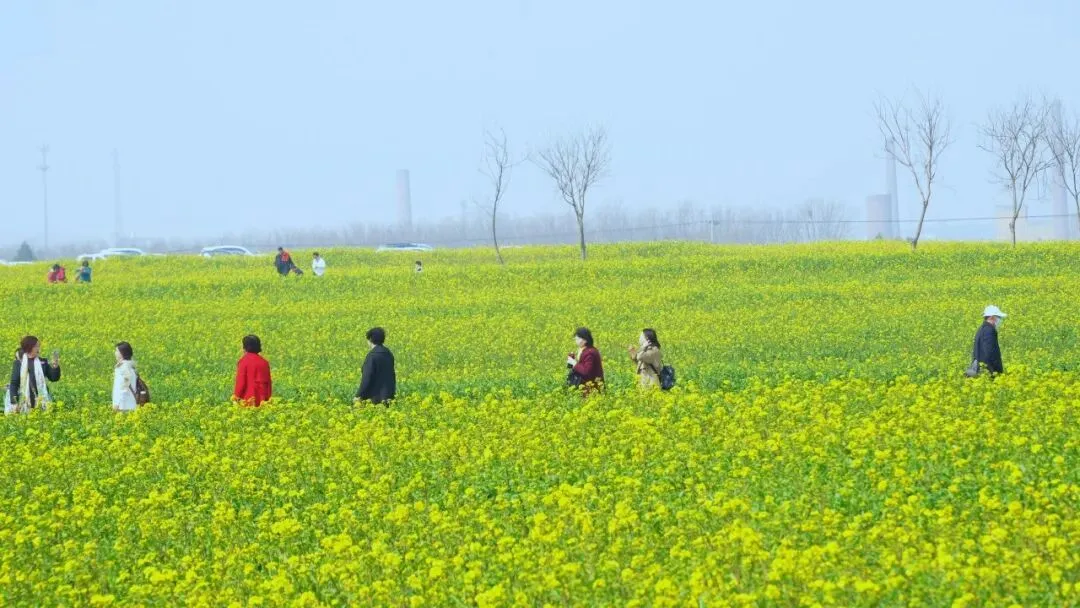“春日经济”活力澎湃 消费市场热力拉满