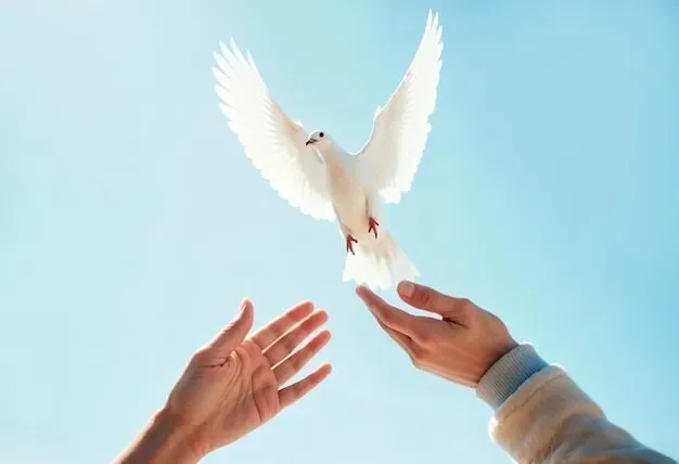 计算机知识076:ComputerGraphics 计算机图形学