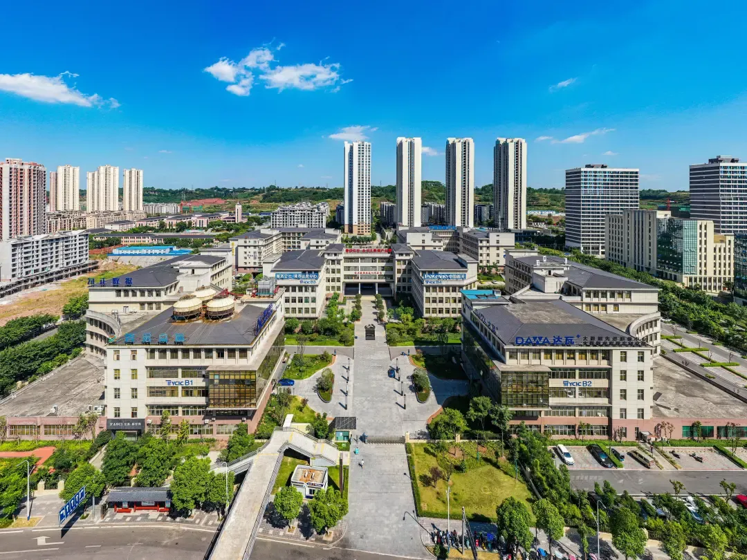 永川:全力托举广大市场经营主体蓄势腾飞