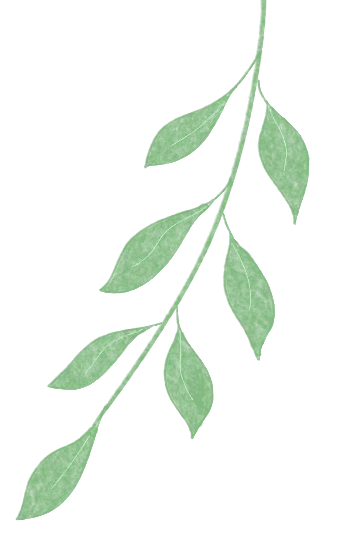 网络餐饮食品安全整治专项行动 |宝应县市场监督管理局召开网络餐饮食品安全整治专项行动专班调度会