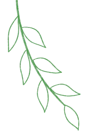 网络餐饮食品安全整治专项行动 |宝应县市场监督管理局召开网络餐饮食品安全整治专项行动专班调度会