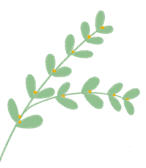 网络餐饮食品安全整治专项行动 |宝应县市场监督管理局召开网络餐饮食品安全整治专项行动专班调度会