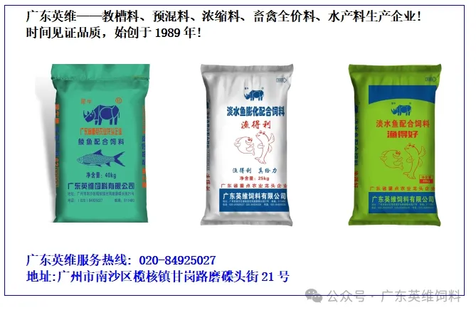 20260420国内生猪市场报价