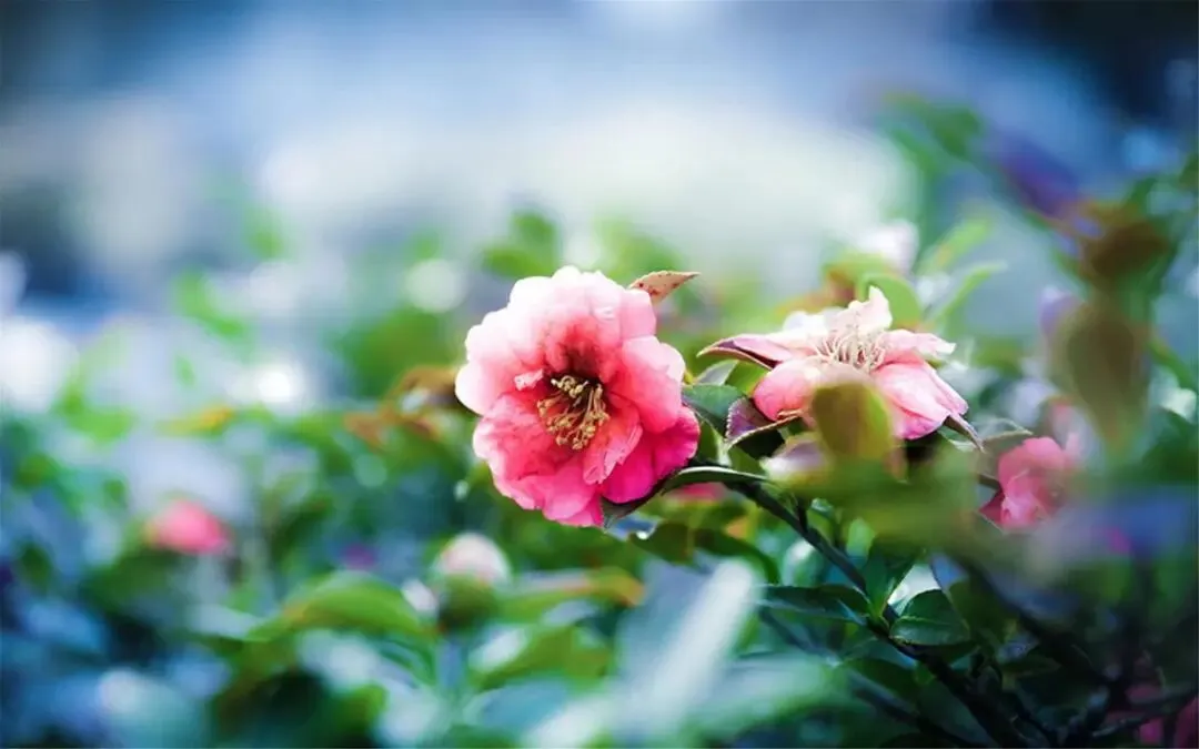 花钱找工作!现在的求职市场,怎么成了这样