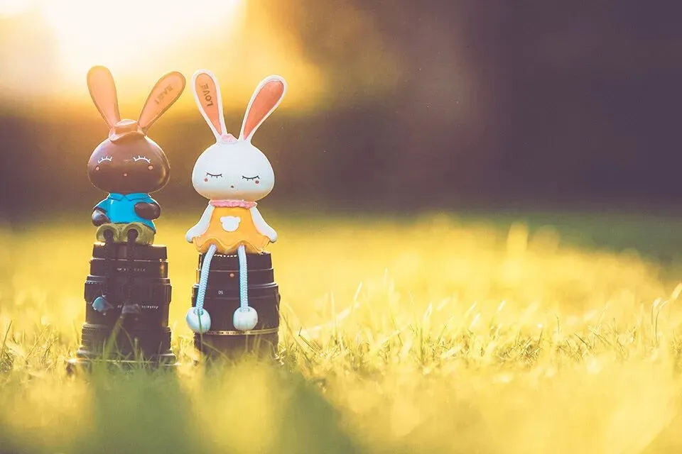 花钱找工作!现在的求职市场,怎么成了这样