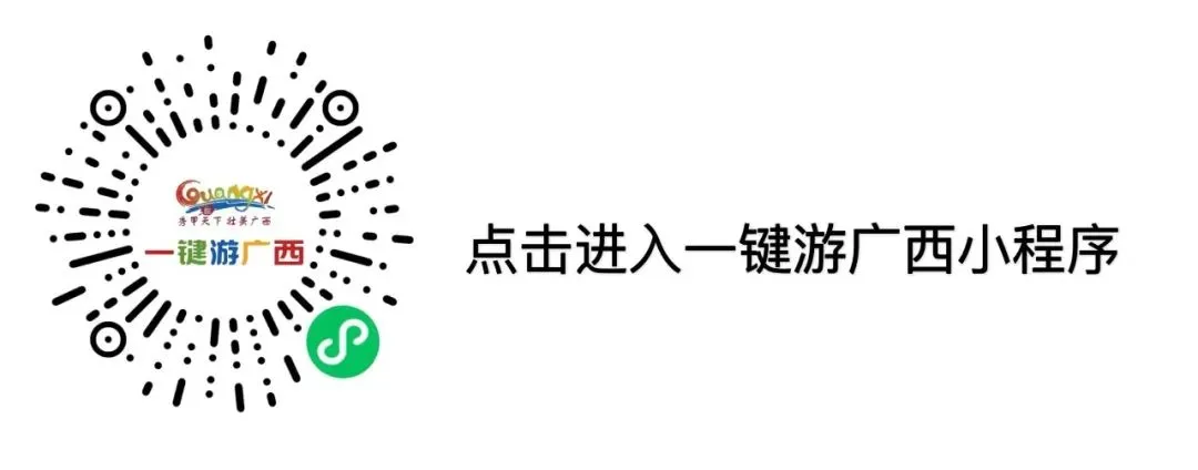 合山市市场监督管理局开展市场监管普法宣传进乡村暨“三月三”民族团结志愿服务活动