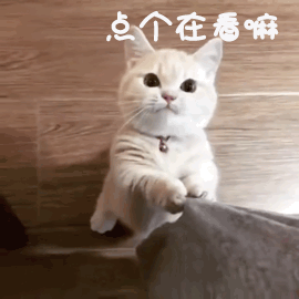 合山市市场监督管理局开展市场监管普法宣传进乡村暨“三月三”民族团结志愿服务活动