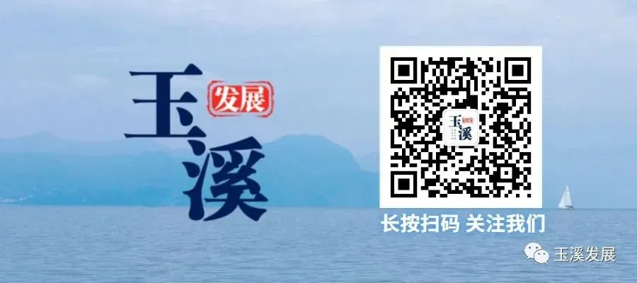 【基础设施】华宁县宁阳综合农贸市场提升改造工程建设项目(一期)规划设计