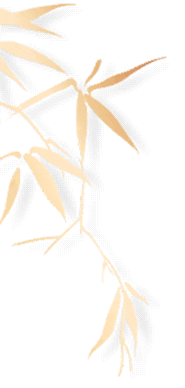 走进梅园新村 筑牢廉洁底线 ——营销2521班团支部开展“廉洁自律·青春担当”主题团日活动