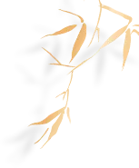 走进梅园新村 筑牢廉洁底线 ——营销2521班团支部开展“廉洁自律·青春担当”主题团日活动