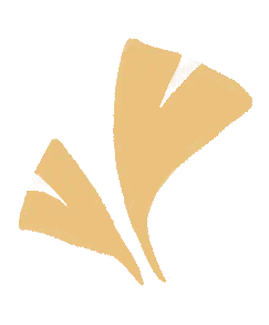 数智经贸学院丨第四十九期“营销沙龙”读书分享会