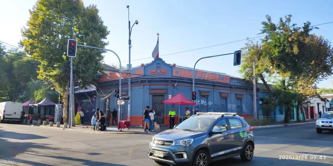 智利路边常见植物笔记十八:市场