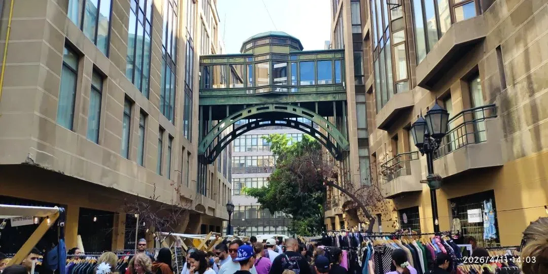 智利路边常见植物笔记十八:市场