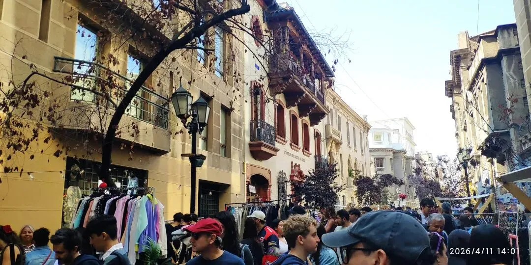 智利路边常见植物笔记十八:市场