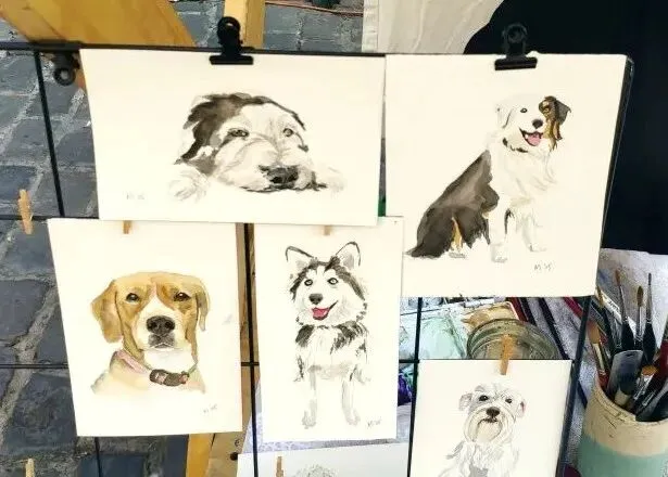 智利路边常见植物笔记十八:市场