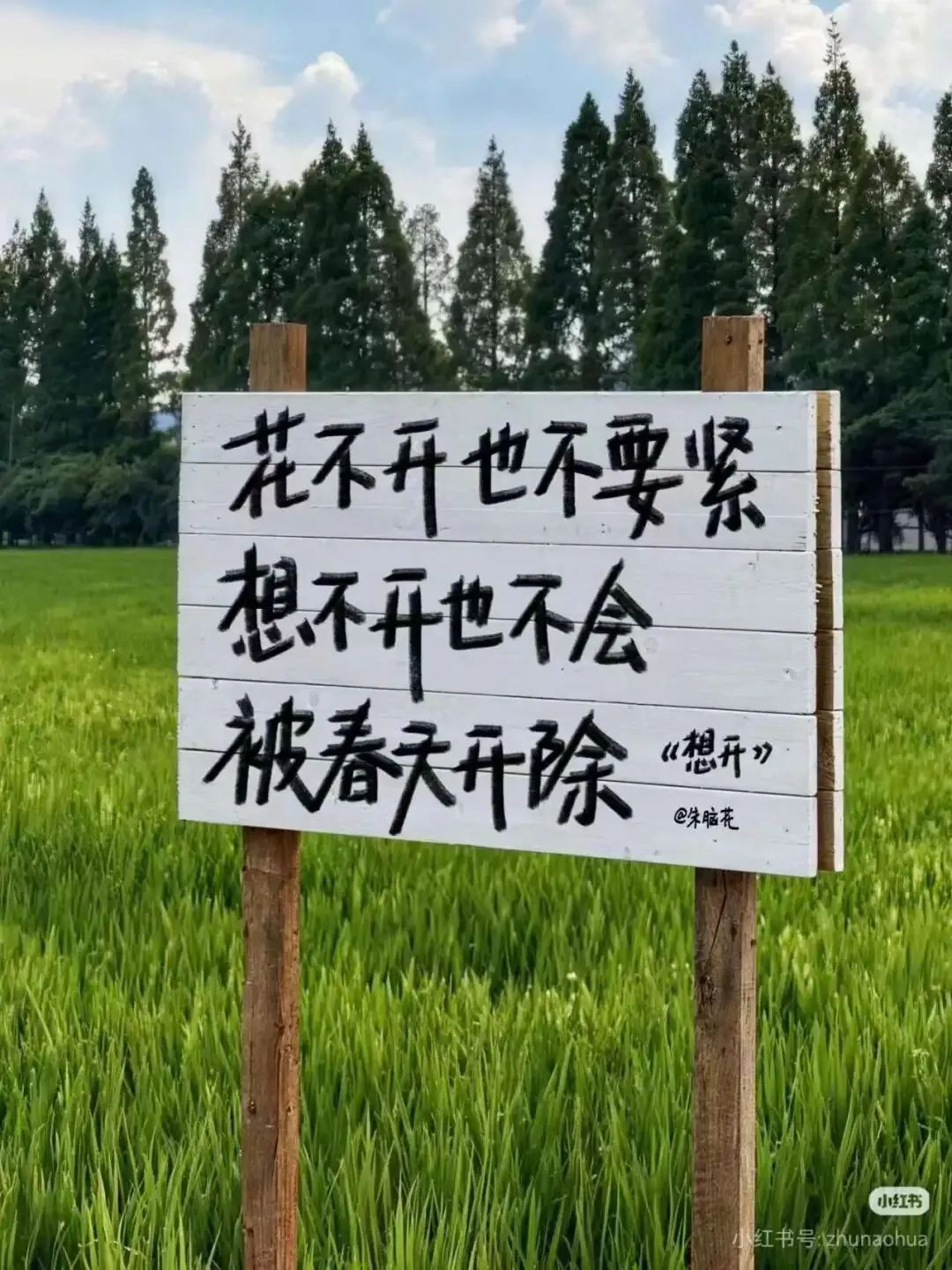 2026市场岗,了解CDA相关内容能转市场分析、用户研究岗吗?能提升岗位适配度吗?
