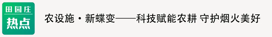 直击终端市场:一级果价格持续上涨,但是走货量却不见增长,出货缓慢.