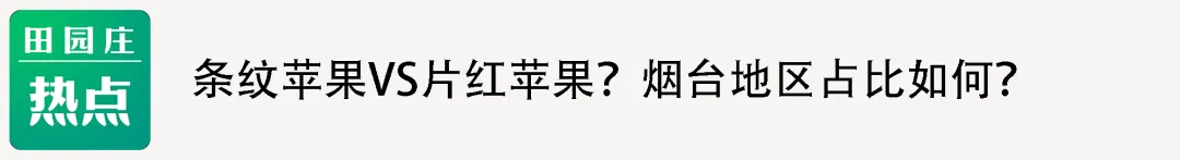 直击终端市场:一级果价格持续上涨,但是走货量却不见增长,出货缓慢.