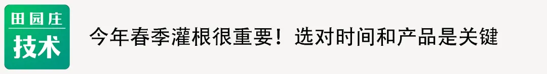 直击终端市场:一级果价格持续上涨,但是走货量却不见增长,出货缓慢.