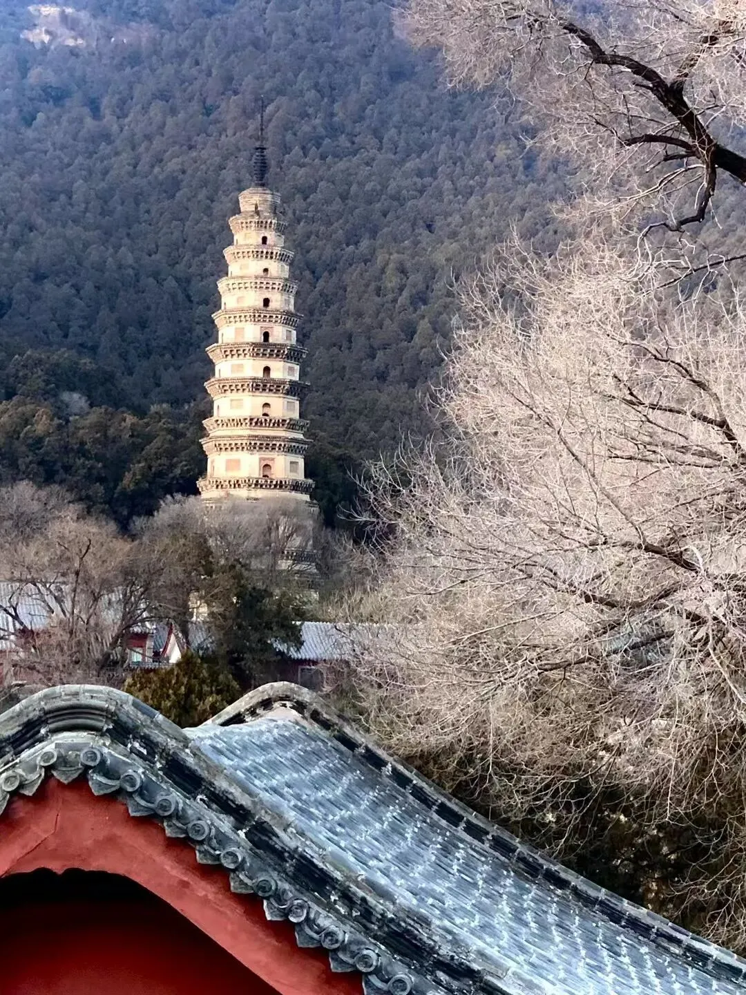 市场周期与季节性规律