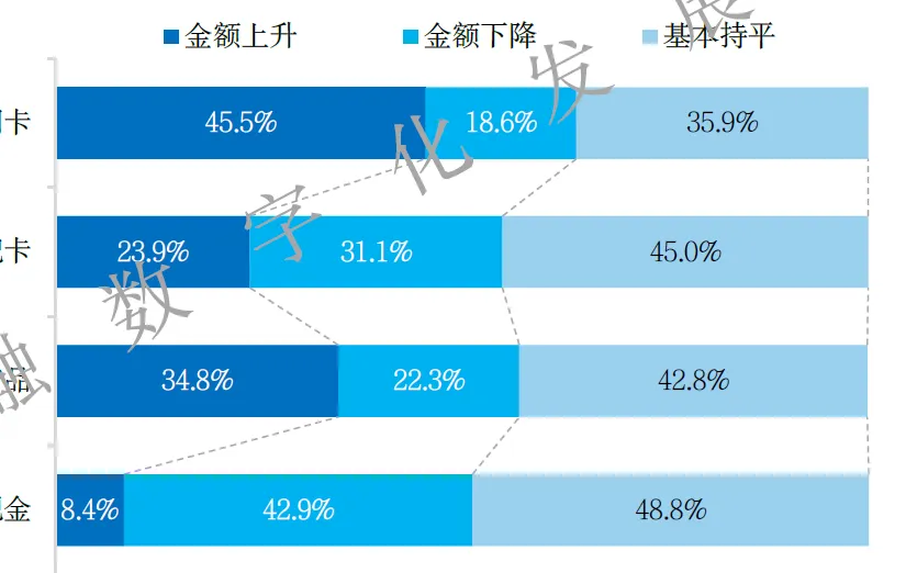 消费金融市场信用卡使用情况调研分析(100页报告)