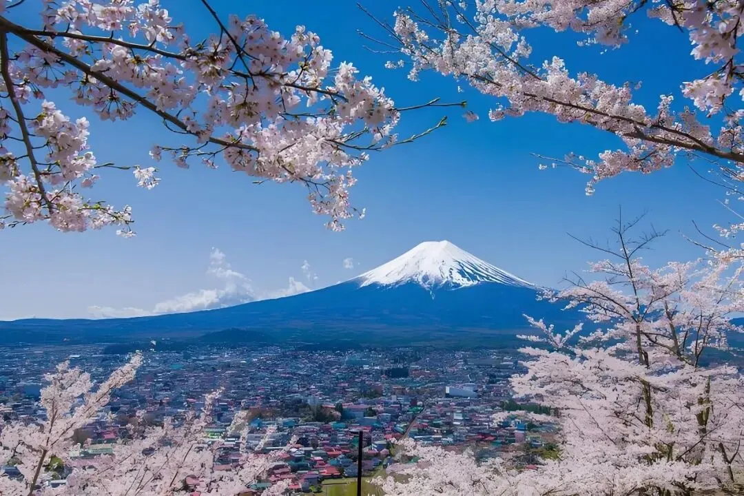 日本5500亿美元对美投资:美国保险市场的战略机遇