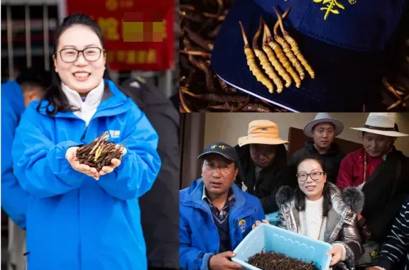 崩了!虫草市场暴雷!