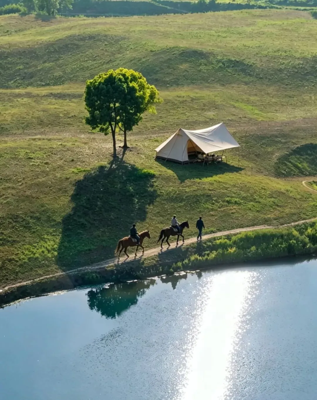 为什么真正的聪明人,最终都走进了金融市场?