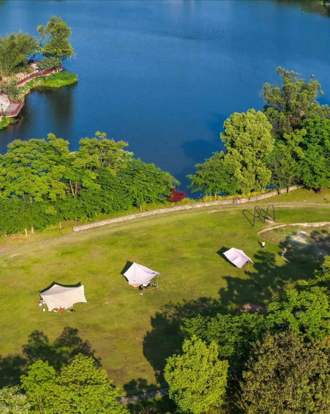 为什么真正的聪明人,最终都走进了金融市场?