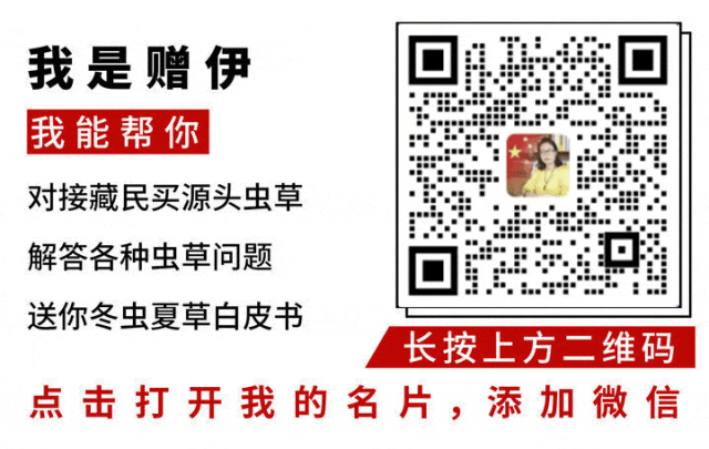 崩了!虫草市场暴雷!