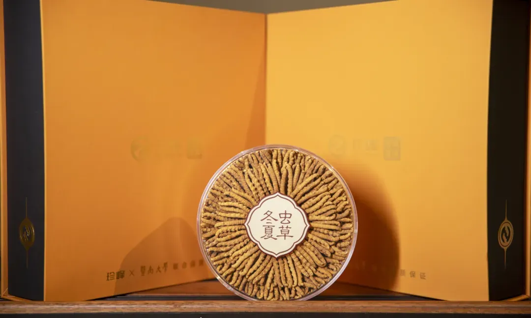 崩了!虫草市场暴雷!