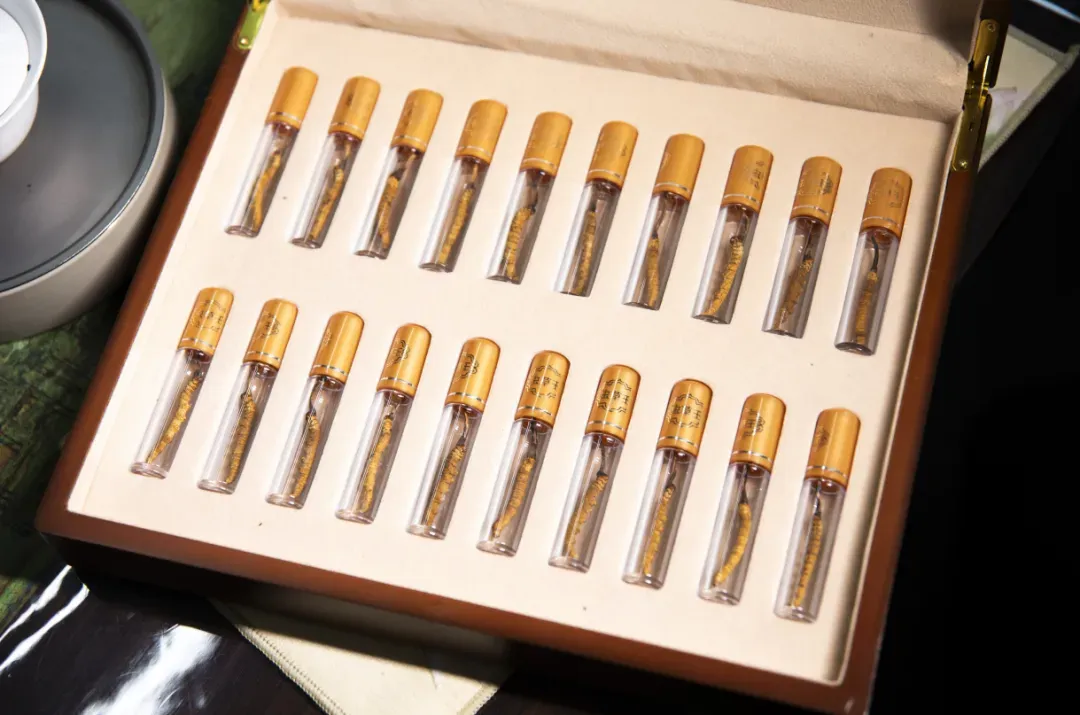 崩了!虫草市场暴雷!