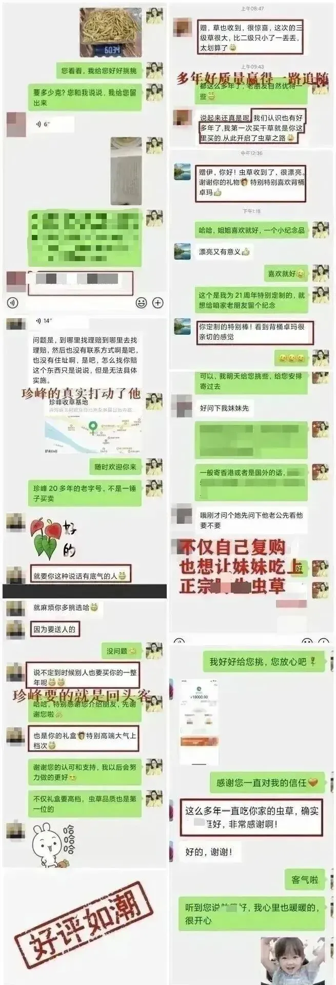 崩了!虫草市场暴雷!