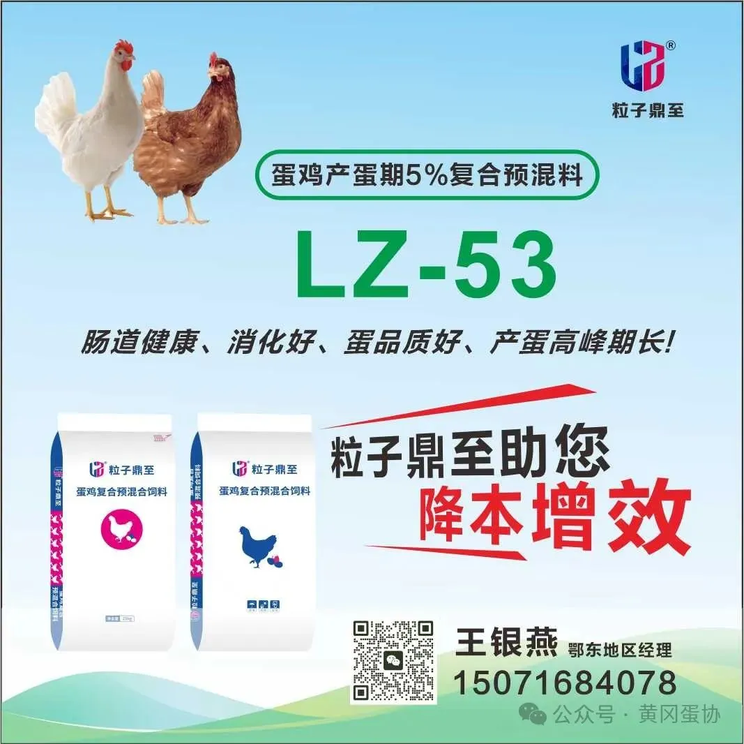 2026年4月21日黄冈市场行情