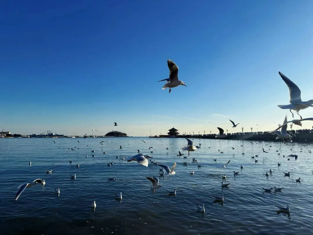 低价绩优板块,下一阶段市场主线的新锚点