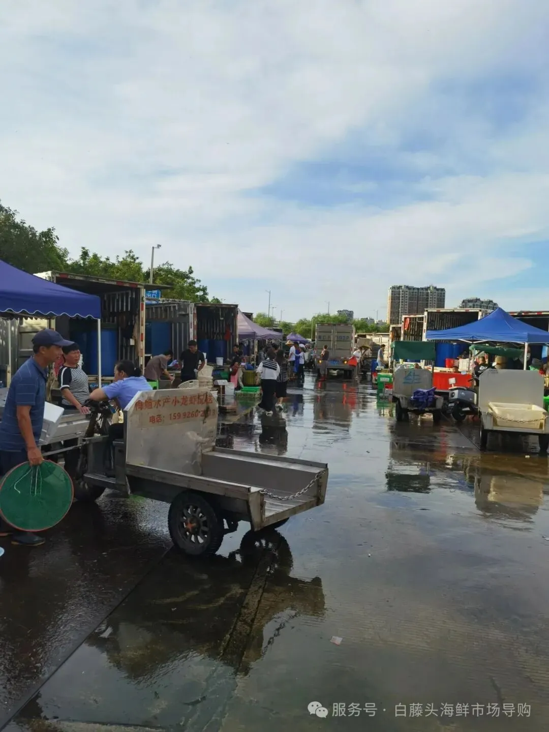 国庆中秋去白藤头海鲜批发市场赴海鲜约!鲜活海产选购 +4家餐厅加工+周边玩法,这份指南超实用