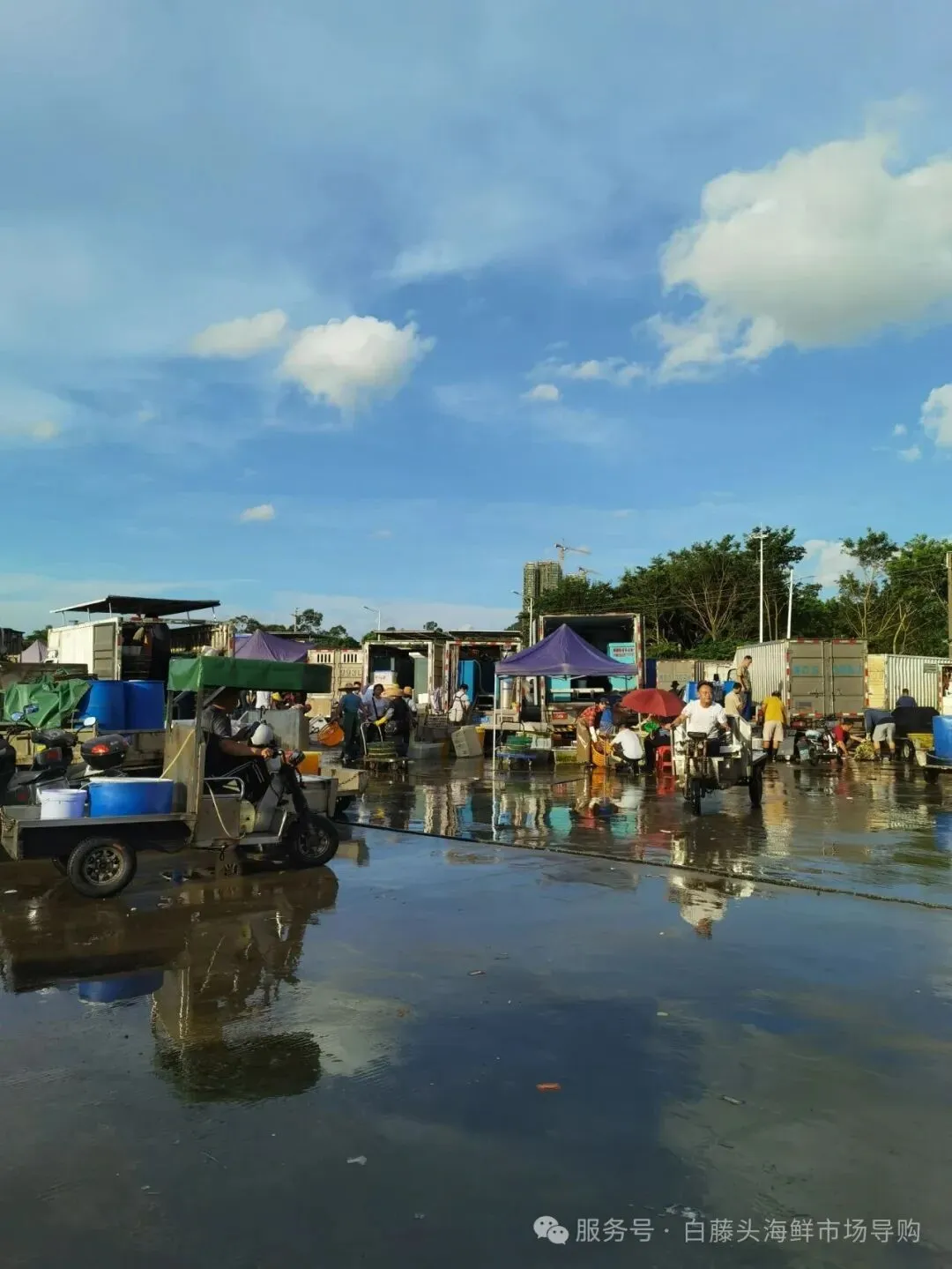 国庆中秋去白藤头海鲜批发市场赴海鲜约!鲜活海产选购 +4家餐厅加工+周边玩法,这份指南超实用