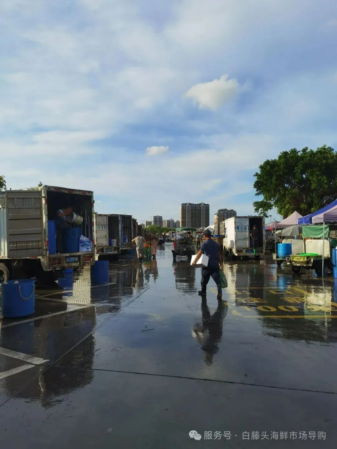 国庆中秋去白藤头海鲜批发市场赴海鲜约!鲜活海产选购 +4家餐厅加工+周边玩法,这份指南超实用