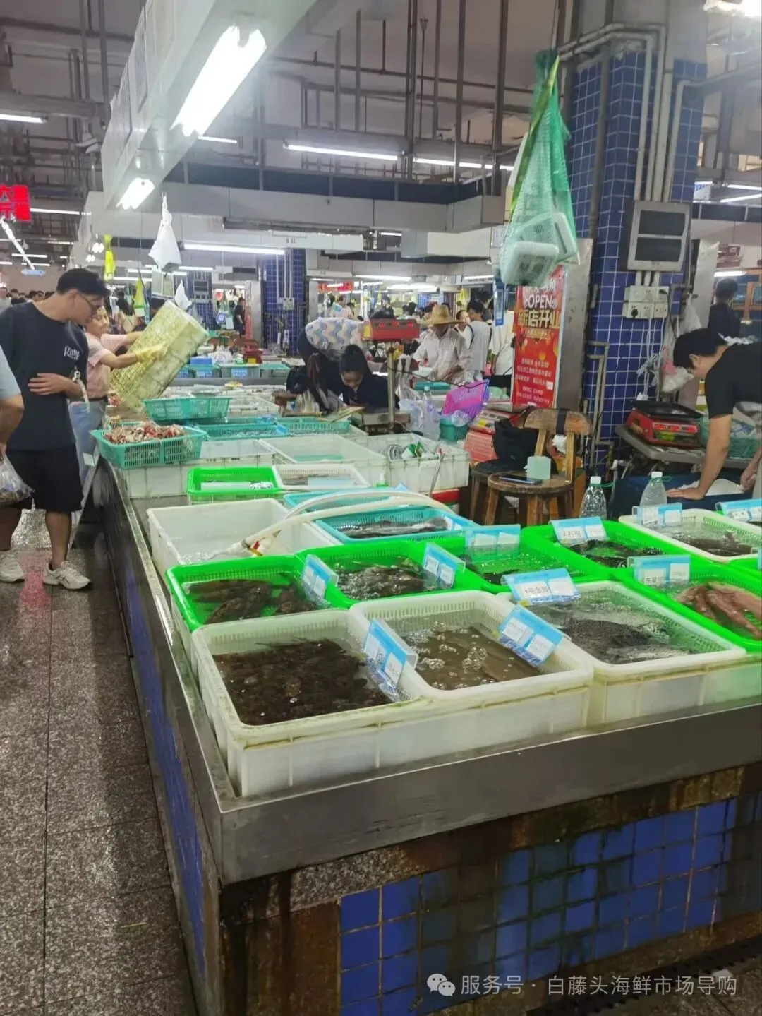 国庆中秋去白藤头海鲜批发市场赴海鲜约!鲜活海产选购 +4家餐厅加工+周边玩法,这份指南超实用