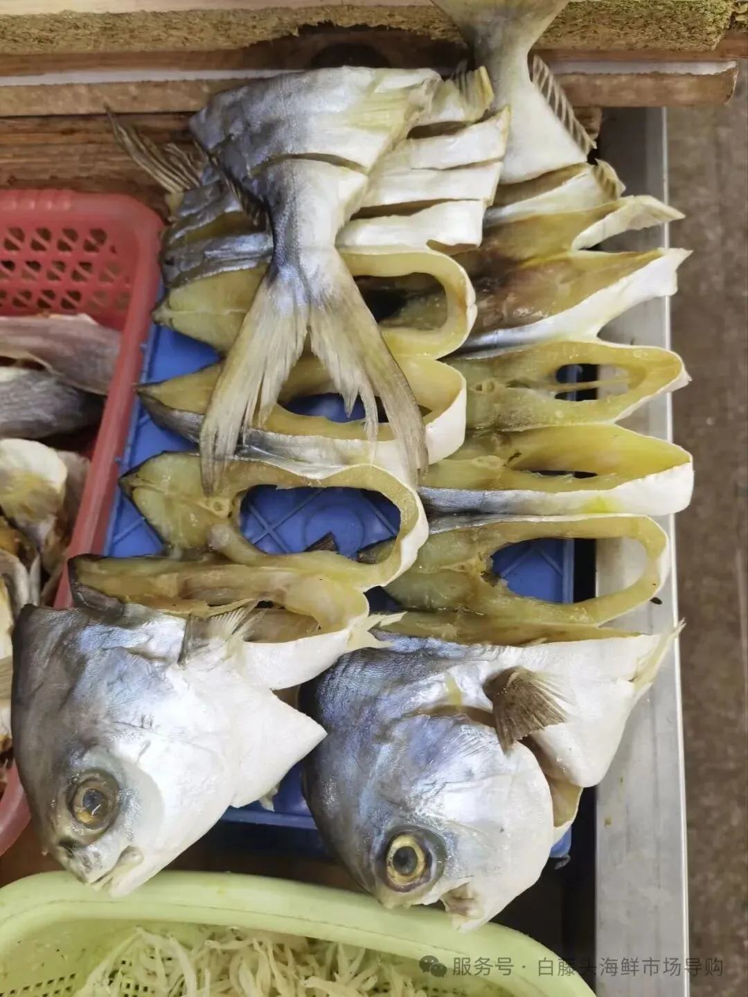 国庆中秋去白藤头海鲜批发市场赴海鲜约!鲜活海产选购 +4家餐厅加工+周边玩法,这份指南超实用