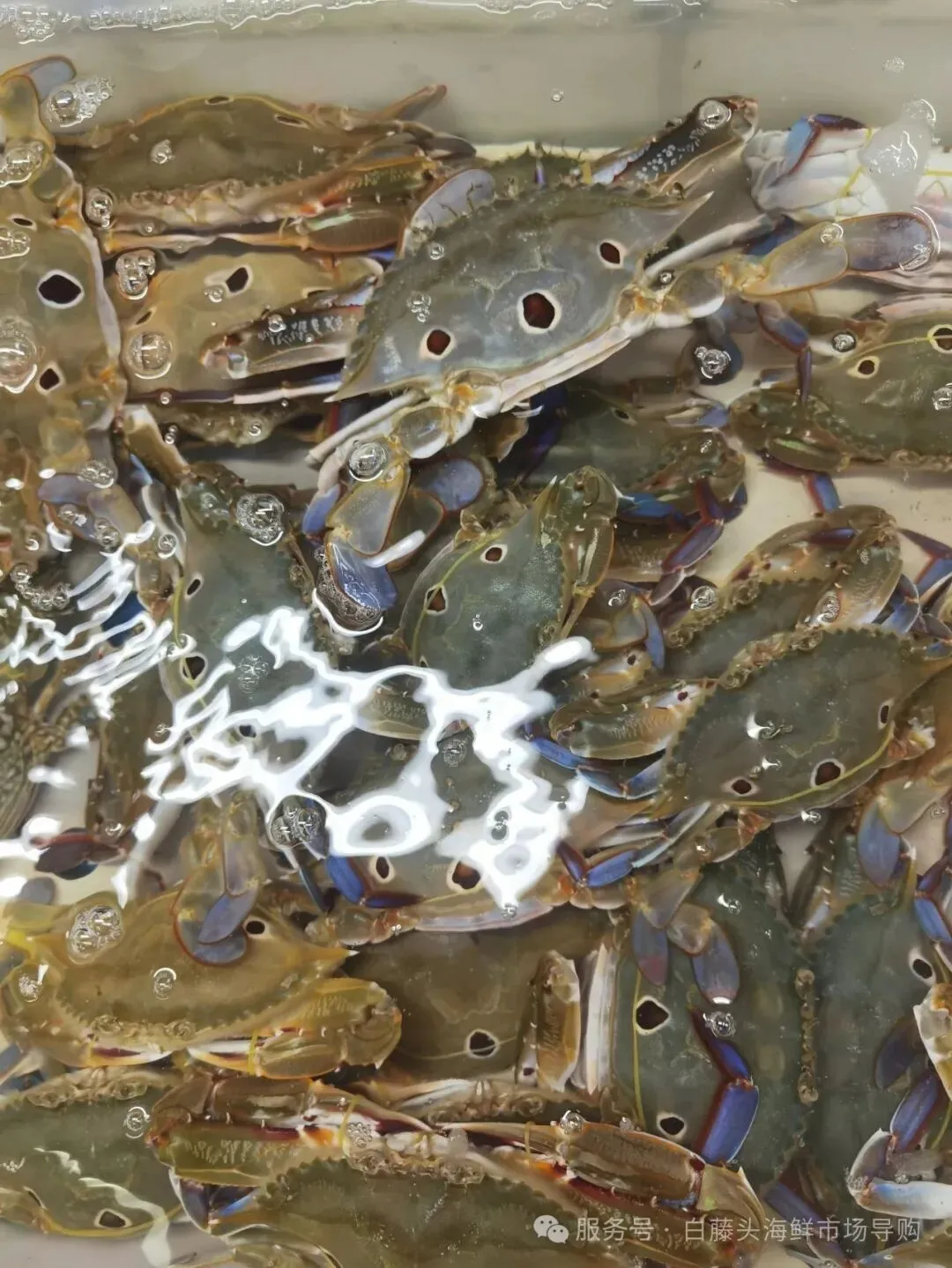 国庆中秋去白藤头海鲜批发市场赴海鲜约!鲜活海产选购 +4家餐厅加工+周边玩法,这份指南超实用