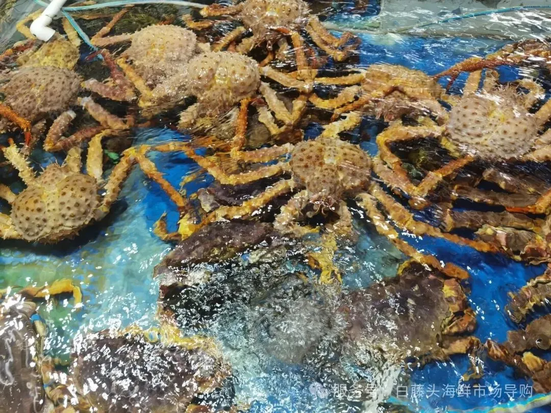 国庆中秋去白藤头海鲜批发市场赴海鲜约!鲜活海产选购 +4家餐厅加工+周边玩法,这份指南超实用